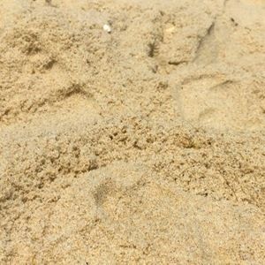 Meet your Posher, Cali